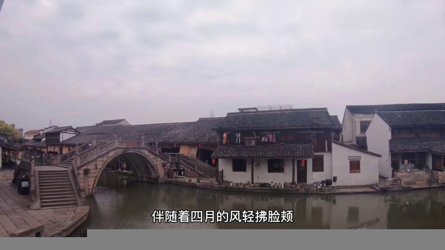 冷知识分享平台猴头菇的泡发方法,了解未知的乐趣